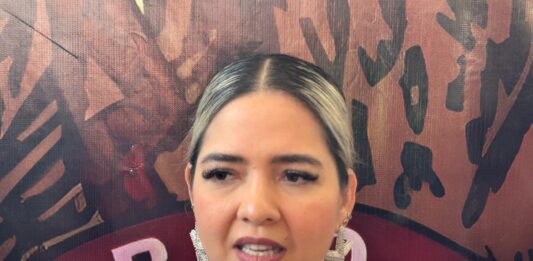 “Son hechos muy lamentables que nos lastiman como sociedad”: Estrella Palacios