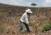 La Coordinación de la Unidad Campesina pide que productores de base participen en decisiones del agro