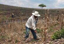 La Coordinación de la Unidad Campesina pide que productores de base participen en decisiones del agro