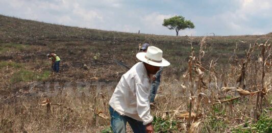 La Coordinación de la Unidad Campesina pide que productores de base participen en decisiones del agro