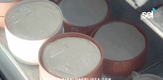 Acuerdo de 12 Pesos el Litro de Leche a Queseros y Aumento de 90 a 95 Pesos el Kilo de Queso