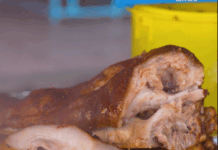 Los “Tacos de a Pesito”… Son Historia, Pero Ahora Más ¡Sabrosos que Nunca!