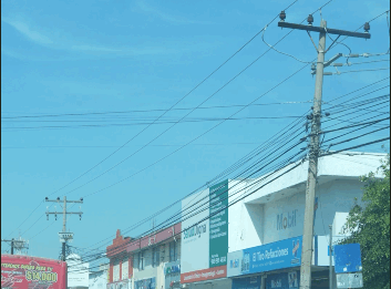 Carril Preferencial Fracasó en Mazatlán; En “Estos Momento No se Aplica”, Dice Alcaldesa Palacios