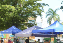 Mercado Orgánico de la Plazuela Zaragoza Cada Sábado se Encuentran Productos del Campo muy Saludables