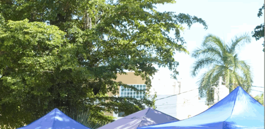 Mercado Orgánico de la Plazuela Zaragoza Cada Sábado se Encuentran Productos del Campo muy Saludables