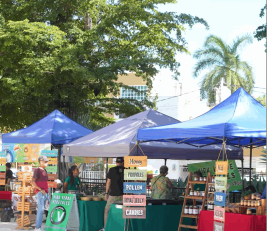 Mercado Orgánico de la Plazuela Zaragoza Cada Sábado se Encuentran Productos del Campo muy Saludables