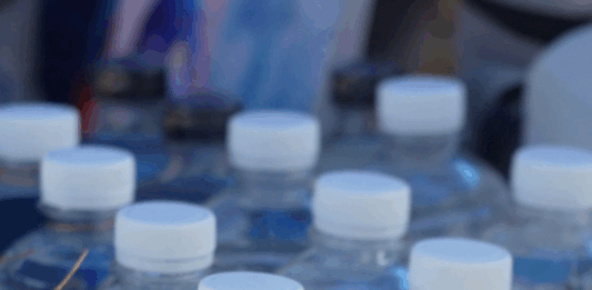 El Agua de Mar como si Fuera un Elíxir para la Vida, Mito o Realidad?