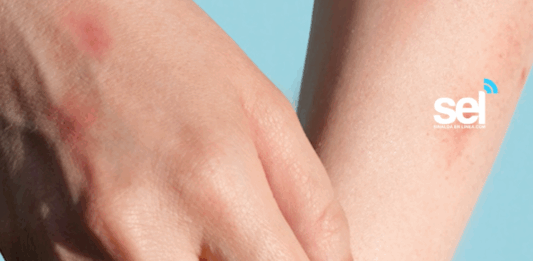 Próximo Sábado, Secretario de Salud Anuncia Macro Evento de Vacunación en 120 Lugares de Sinaloa