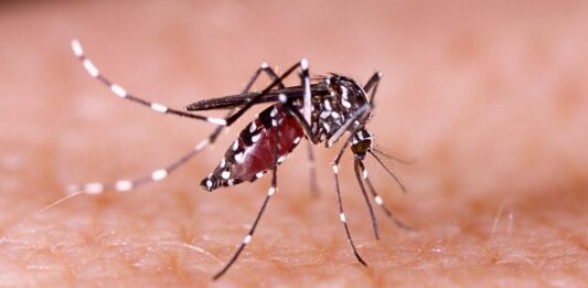 Sin repunte de dengue en el Hospital Municipal de Mazatlán