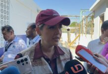 Buen Fin y cruceros dejan fuerte derrama económica en Mazatlán: Estrella Palacios