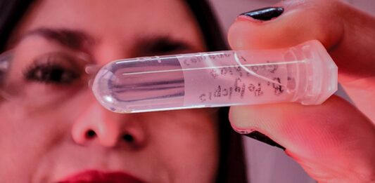 El increíble y desconocido Mundo de los “Parásitos” este jueves en “La Ciencia también es Cultura”