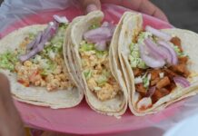 Los Tacos de Doña Maty, con Fama en EU, Canadá y Taiwan