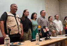 Un «Jardín de Luz» te espera en Navidad en el Botánico