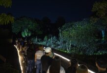 Celebra la unión familiar en Navidad en el Botánico, música en vivo y experiencias interactivas te esperan este 25 de diciembre