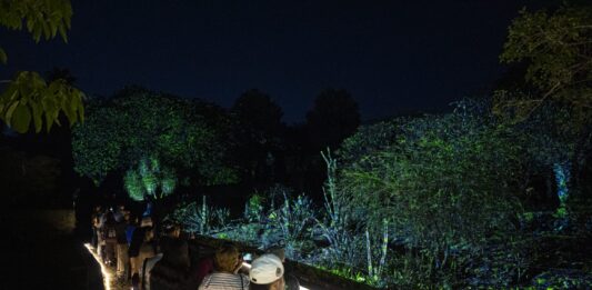 Celebra la unión familiar en Navidad en el Botánico, música en vivo y experiencias interactivas te esperan este 25 de diciembre