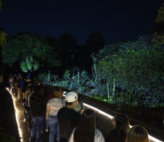 Celebra la unión familiar en Navidad en el Botánico, música en vivo y experiencias interactivas te esperan este 25 de diciembre