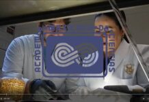 Marcela de Jesús Vergara y Misael Odín Vega, connotados investigadores de la UAS, nuevos miembros de la Academia Mexicana de Ciencias, por su excelencia y el alto prestigio de sus trayectorias