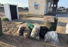 MazConCiencia cierra el 2025 con una intensa jornada de limpieza ambiental en el Estero del Yugo