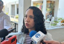 Avanza regularización ambiental en Mazatlán con más de 460 licencias actualizadas