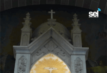 Rector de Catedral Convencido de los “Milagros” de Dios a Través de la Virgen María y la Inmaculada Concepción