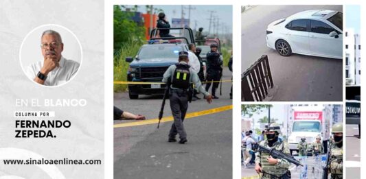 En el blanco por Fernando Zepeda H.