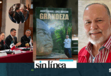 Rocha-Harfuch, Seguridad. La Corrupción de Morena. Los Duarte, Venganza Política?