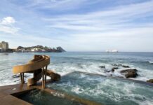 Carpa Olivera tendrá renovación integral en los próximos meses