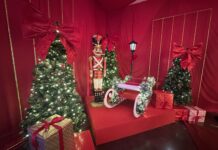 La magia de la Navidad llega al Gran Acuario Mazatlán con la experiencia “Tiempos de Navidad”