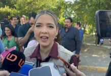 Mazatlán se perfila como posible sede de la Serie del Caribe 2026