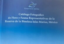 Islas Marías celebra 25 años como reserva de la Biósfera