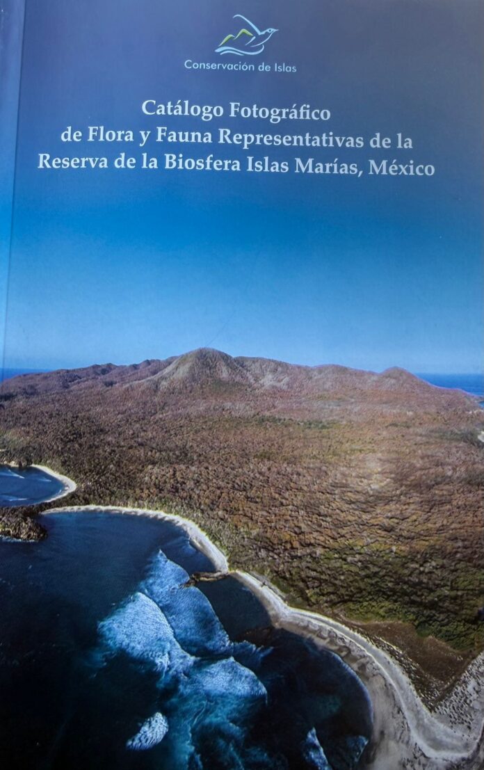 WhatsApp Image 2025-12-01 at 4.02.47 AM (1)