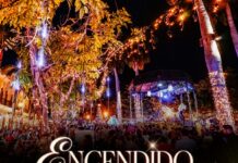 La Navidad llegará a la Machado este viernes con el encendido de la iluminación navideña