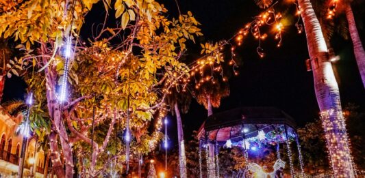 La Navidad llegará a la Machado este viernes con el encendido de la iluminación navideña