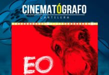 Cine gratis: La vida de “EO” este sábado en el Cinematógrafo Marco Lugo