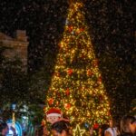 WhatsApp Image 2025-12-05 at 8.29.19 PM