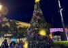 Mazatlán vivirá el encendido del árbol navideño en la Plazuela Machado