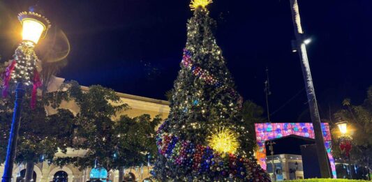 Mazatlán vivirá el encendido del árbol navideño en la Plazuela Machado