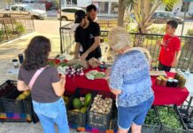 Comerciantes del Mercado Orgánico reportan ventas estables