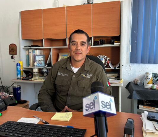 Temperaturas cálidas continuarán en Mazatlán pese a frentes fríos