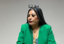 Mensajes negativos sobre carreteras afectan ocupación turística en Mazatlán: CANACO