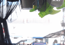 Si Cayó el Muro Berlín que No Vaya a Caer la Bardita de los Medidores en el Mercado Pino Suárez