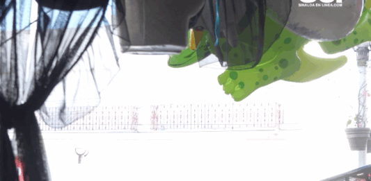 Si Cayó el Muro Berlín que No Vaya a Caer la Bardita de los Medidores en el Mercado Pino Suárez