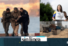 SIN LÍNEA 05/01/2026