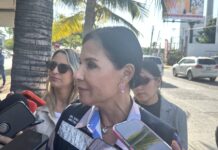 Habilitan centros de acopio para la recepción de pinos navideños en Mazatlán