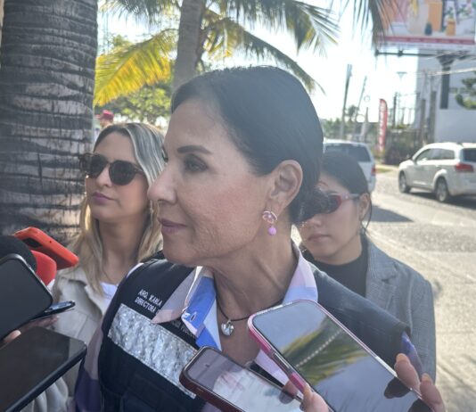 Habilitan centros de acopio para la recepción de pinos navideños en Mazatlán