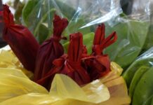 Tamales Colorados de Masa para Algunos No Saben a Nada, Pero son Deliciosos y hasta “Medicinales”…. Ya los Probó?