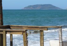 Aplauso al Gobierno de Estrella Palacios al Liberar los Accesos a las Playas en Mazatlán
