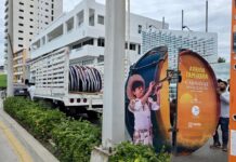 Mazatlán se llena de ritmo: Finaliza la instalación de pendones del Carnaval “¡Arriba la Tambora!”