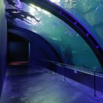 WhatsApp Image 2026-01-21 at 4.02.21 PM (3)