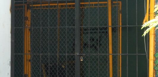 Instalan Celdas para los “Meones” en Carnaval de Mazatlán, Informa Coordinador de Jueces